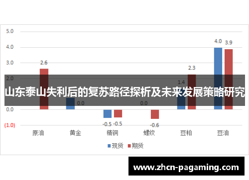 山东泰山失利后的复苏路径探析及未来发展策略研究