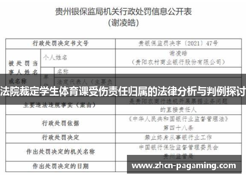 法院裁定学生体育课受伤责任归属的法律分析与判例探讨