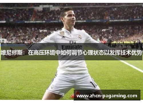 维尼修斯：在高压环境中如何调节心理状态以发挥技术优势