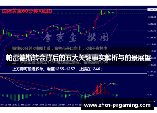 帕雷德斯转会背后的五大关键事实解析与前景展望