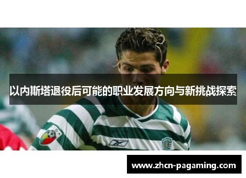 以内斯塔退役后可能的职业发展方向与新挑战探索