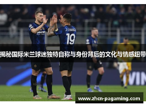 揭秘国际米兰球迷独特自称与身份背后的文化与情感纽带