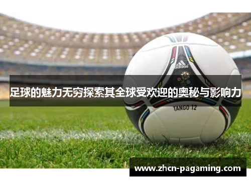 足球的魅力无穷探索其全球受欢迎的奥秘与影响力