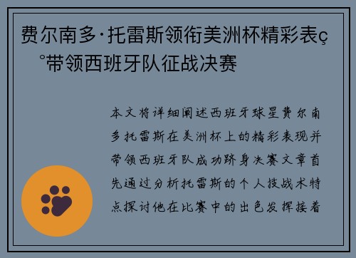 费尔南多·托雷斯领衔美洲杯精彩表现带领西班牙队征战决赛