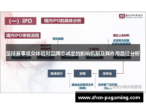 足球赛事观众体验对品牌忠诚度的影响机制及其作用路径分析
