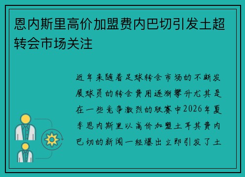 恩内斯里高价加盟费内巴切引发土超转会市场关注